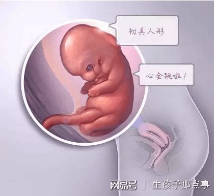 供卵代生咨询哪家靠谱